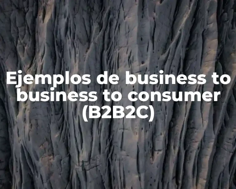 Ejemplos de business to business to consumer (B2B2C)