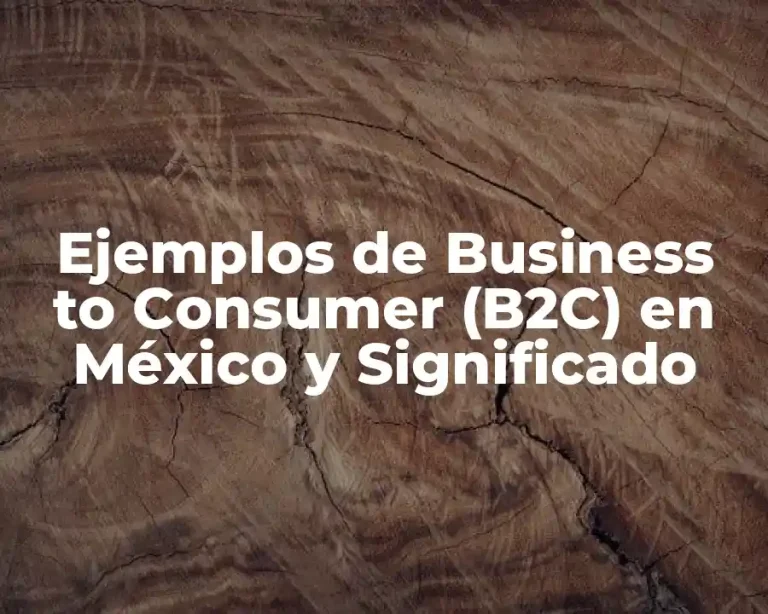 Ejemplos de Business to Consumer (B2C) en México y Significado