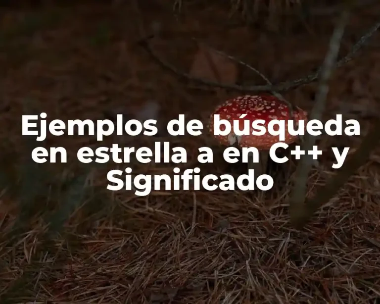 Ejemplos de búsqueda en estrella a en C++ y Significado
