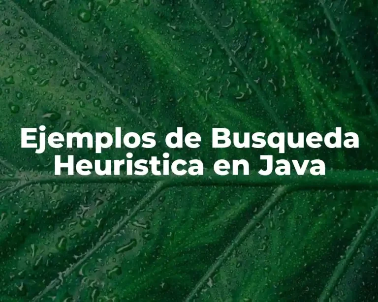 Ejemplos de Busqueda Heuristica en Java