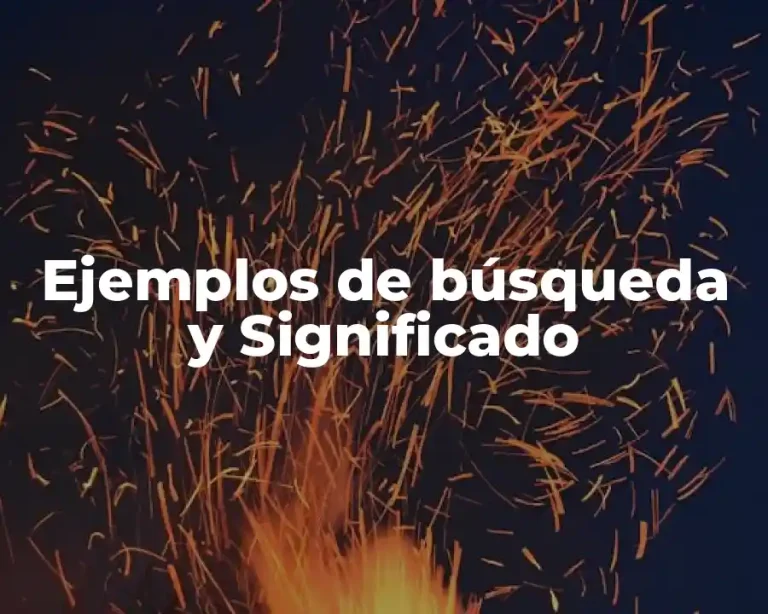 Ejemplos de búsqueda y Significado