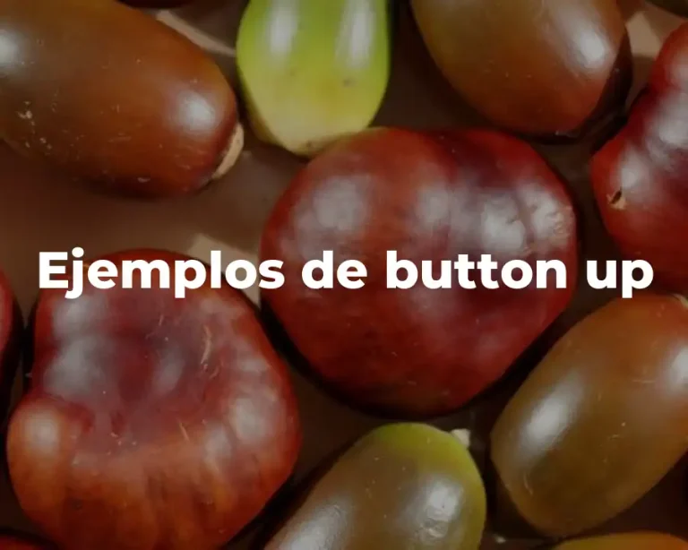 Ejemplos de button up