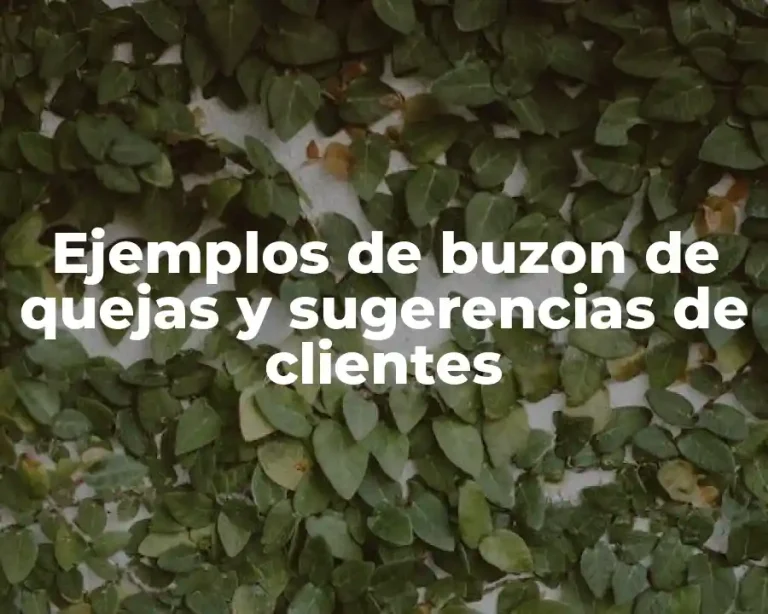 Ejemplos de buzon de quejas y sugerencias de clientes