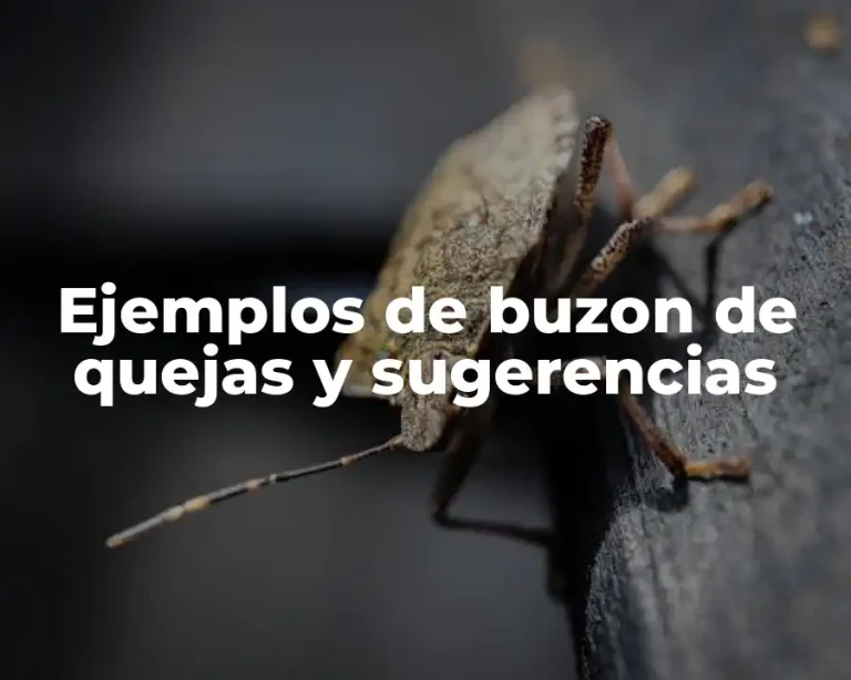 Ejemplos de buzon de quejas y sugerencias