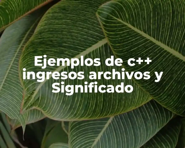 Ejemplos de c++ ingresos archivos y Significado