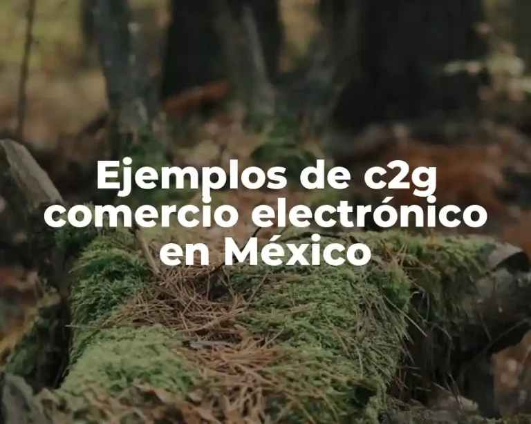 Ejemplos de c2g comercio electrónico en México