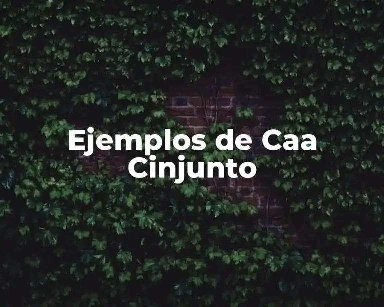 Ejemplos de Caa Cinjunto