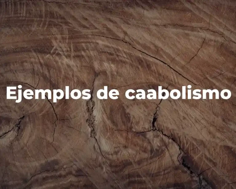 Ejemplos de caabolismo