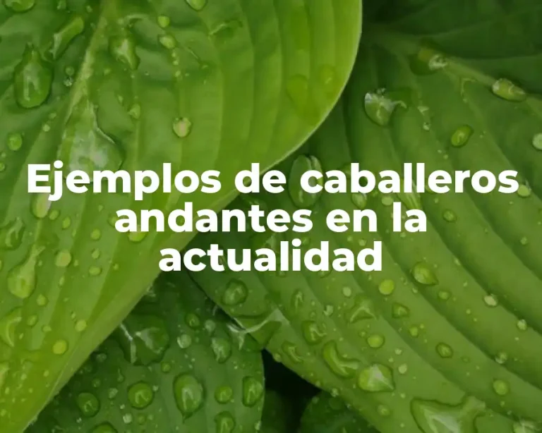 Ejemplos de caballeros andantes en la actualidad