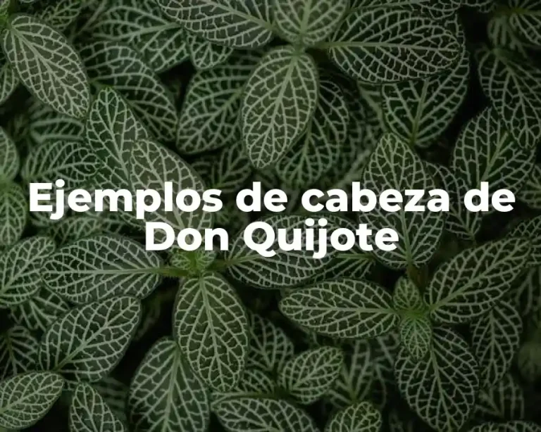 Ejemplos de cabeza de Don Quijote