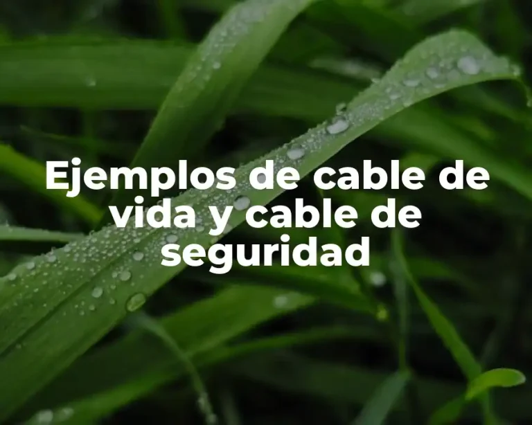 Ejemplos de cable de vida y cable de seguridad