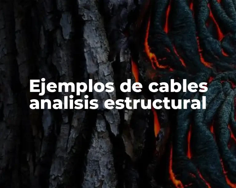 Ejemplos de cables analisis estructural