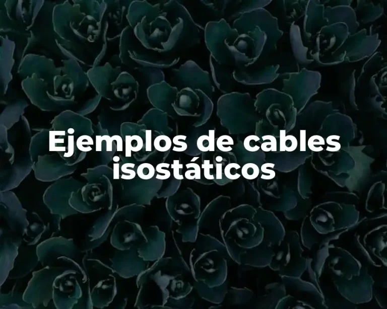 Ejemplos de cables isostáticos