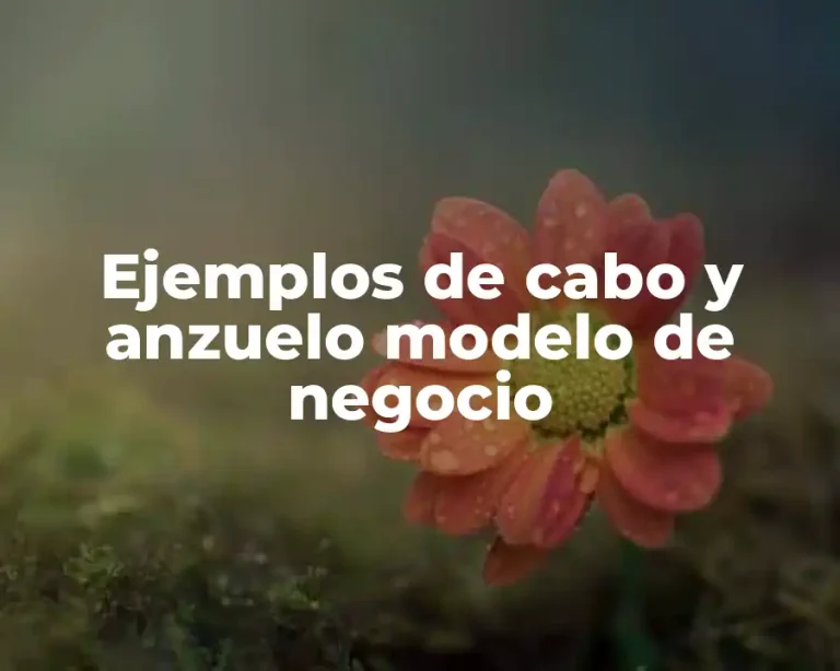Ejemplos de cabo y anzuelo modelo de negocio