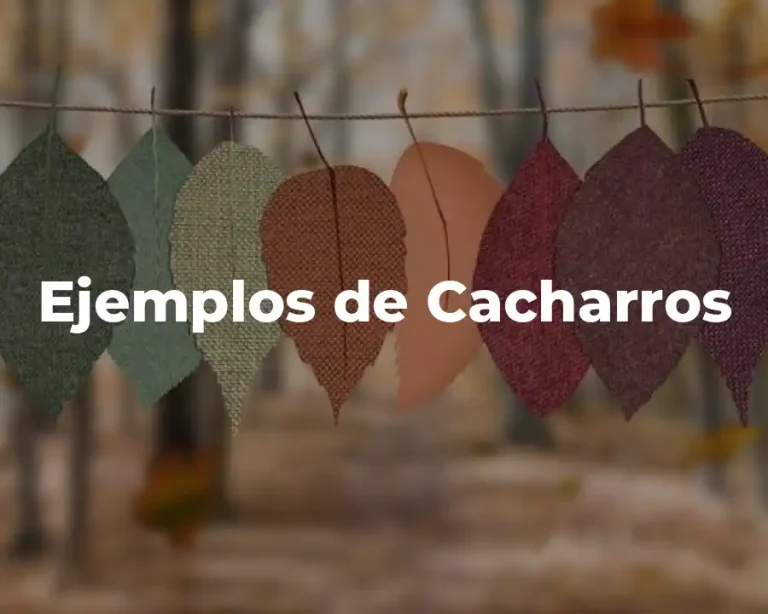 Ejemplos de Cacharros