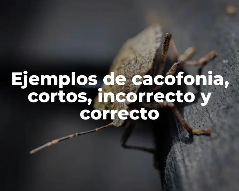 Ejemplos de cacofonia, cortos, incorrecto y correcto