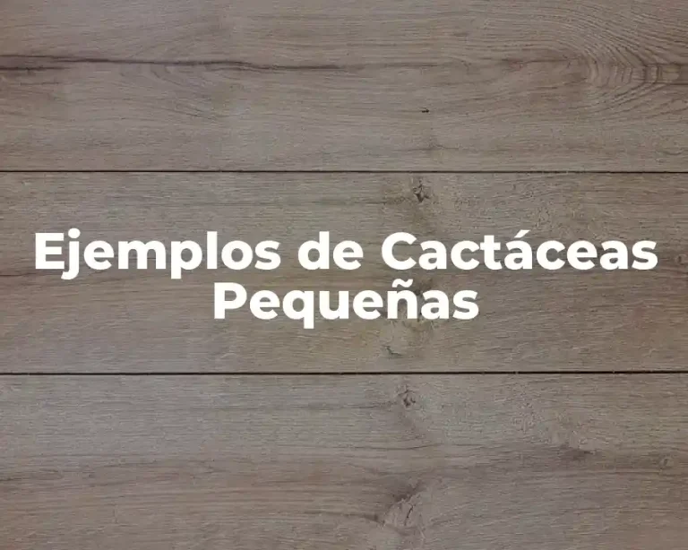 Ejemplos de Cactáceas Pequeñas