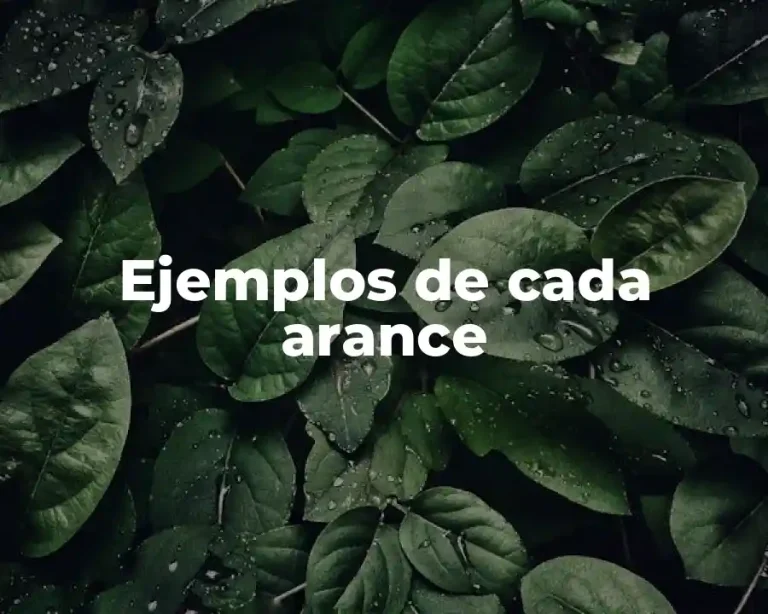 Ejemplos de cada arance