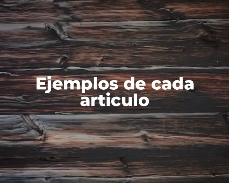 Ejemplos de cada articulo