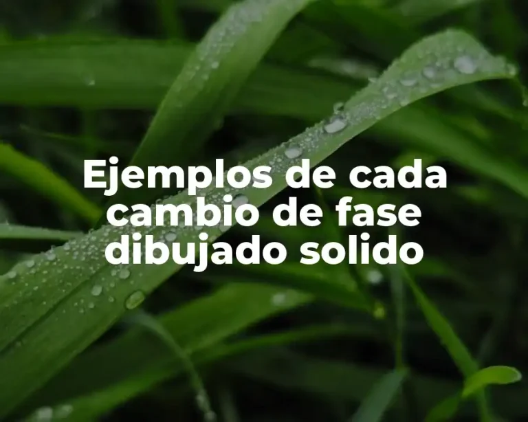 Ejemplos de cada cambio de fase dibujado solido