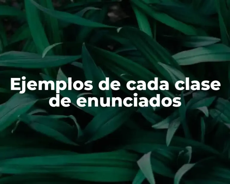 Ejemplos de cada clase de enunciados