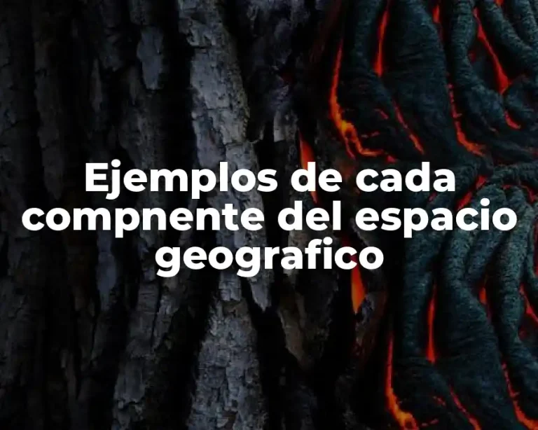 Ejemplos de cada compnente del espacio geografico