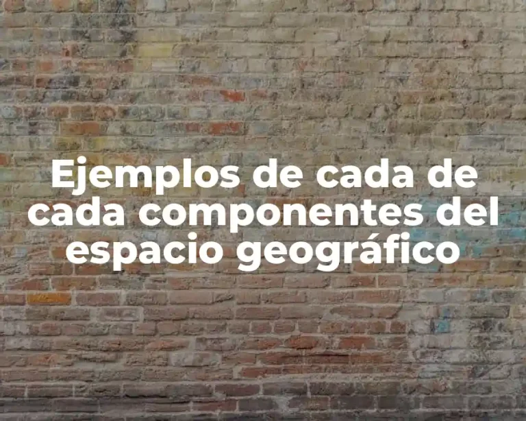Ejemplos de cada de cada componentes del espacio geográfico