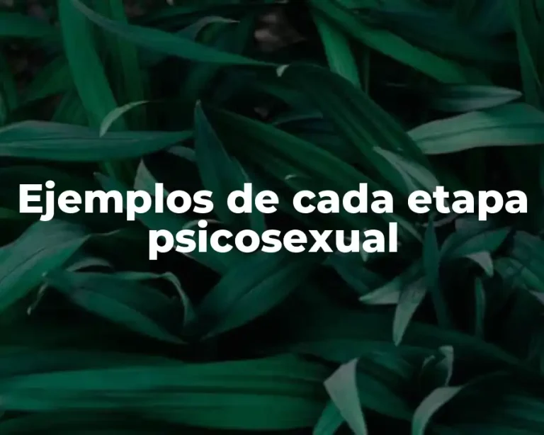Ejemplos de cada etapa psicosexual