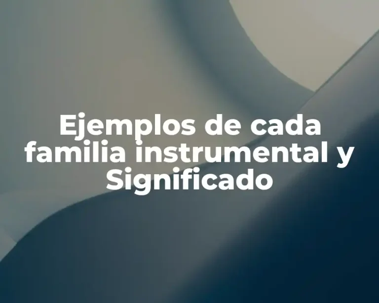 Ejemplos de cada familia instrumental y Significado