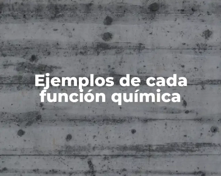 Ejemplos de cada función química