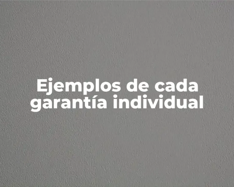 Ejemplos de cada garantía individual