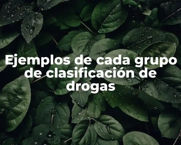 Ejemplos de cada grupo de clasificación de drogas