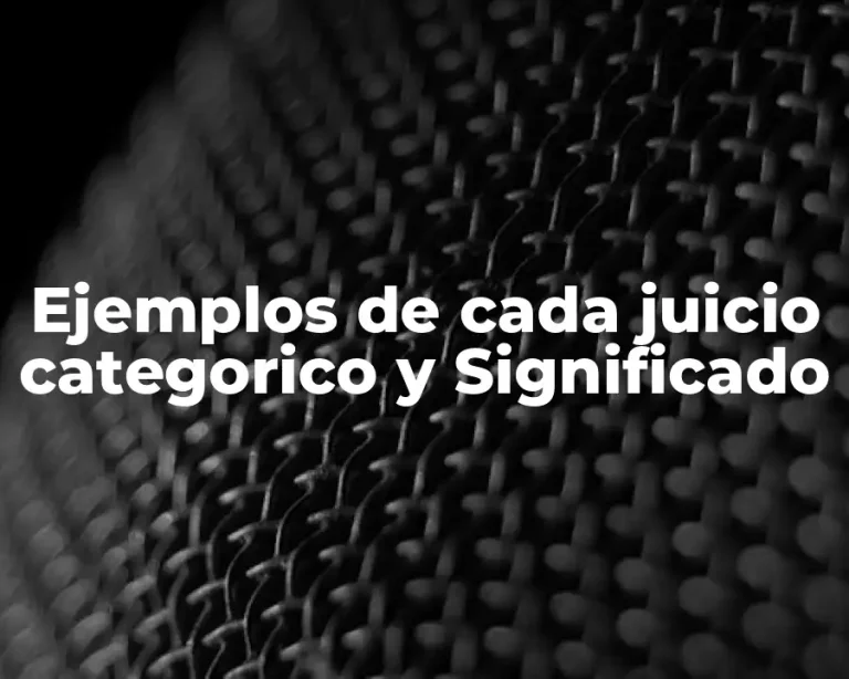 Ejemplos de cada juicio categorico y Significado
