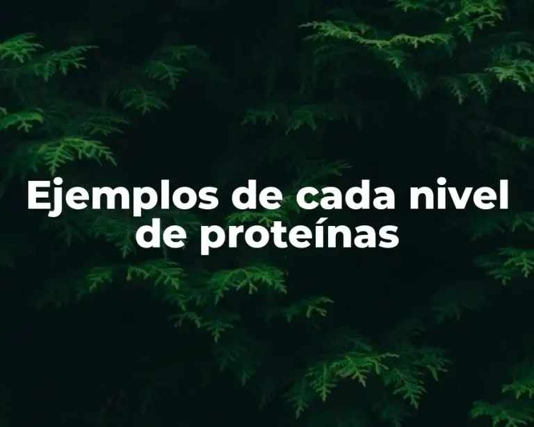 Ejemplos de cada nivel de proteínas