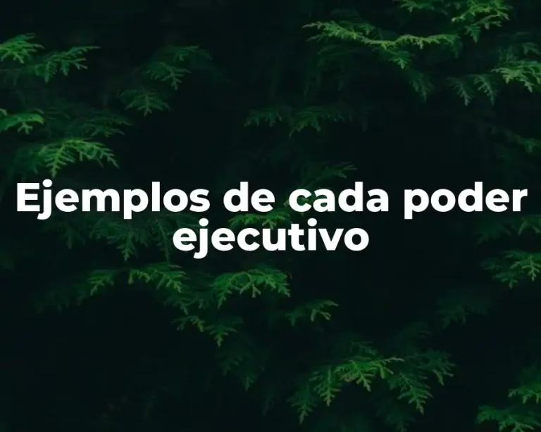Ejemplos de cada poder ejecutivo