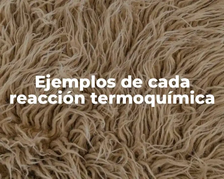 Ejemplos de cada reacción termoquímica