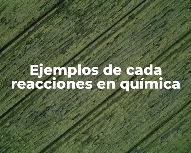 Ejemplos de cada reacciones en química
