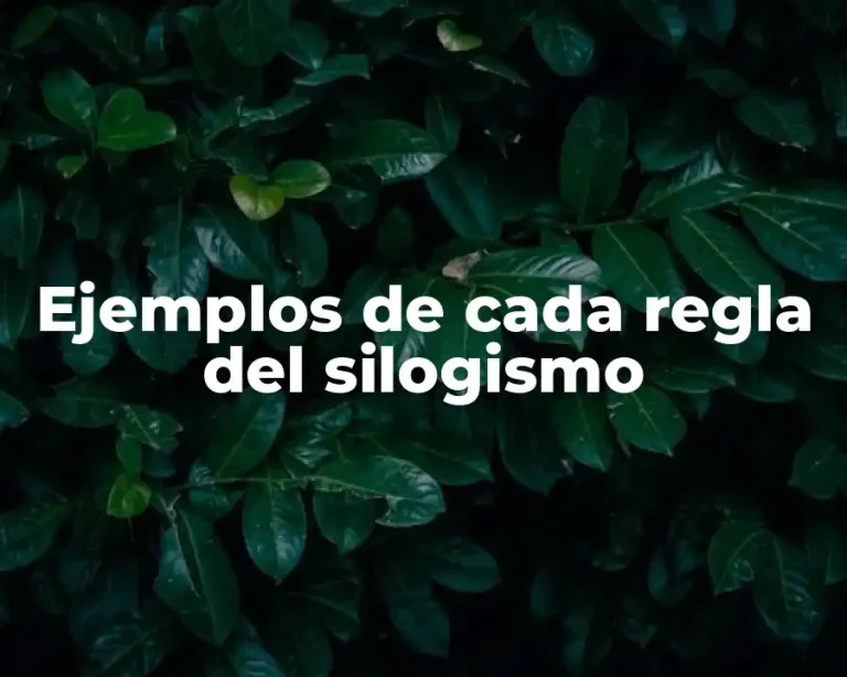 Ejemplos de cada regla del silogismo