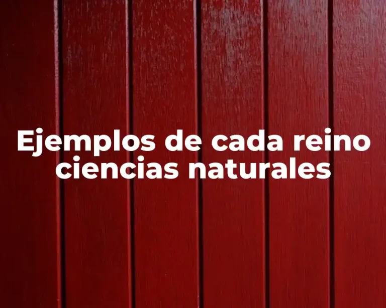 Ejemplos de cada reino ciencias naturales