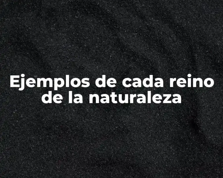 Ejemplos de cada reino de la naturaleza