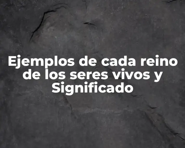 Ejemplos de cada reino de los seres vivos y Significado