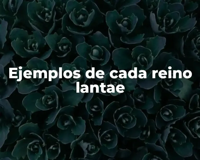 Ejemplos de cada reino lantae
