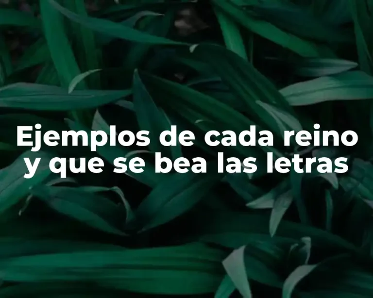 Ejemplos de cada reino y que se bea las letras