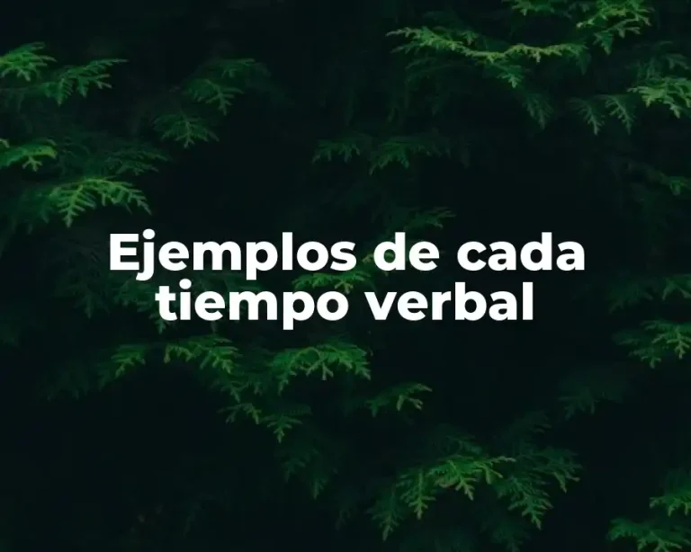 Ejemplos de cada tiempo verbal