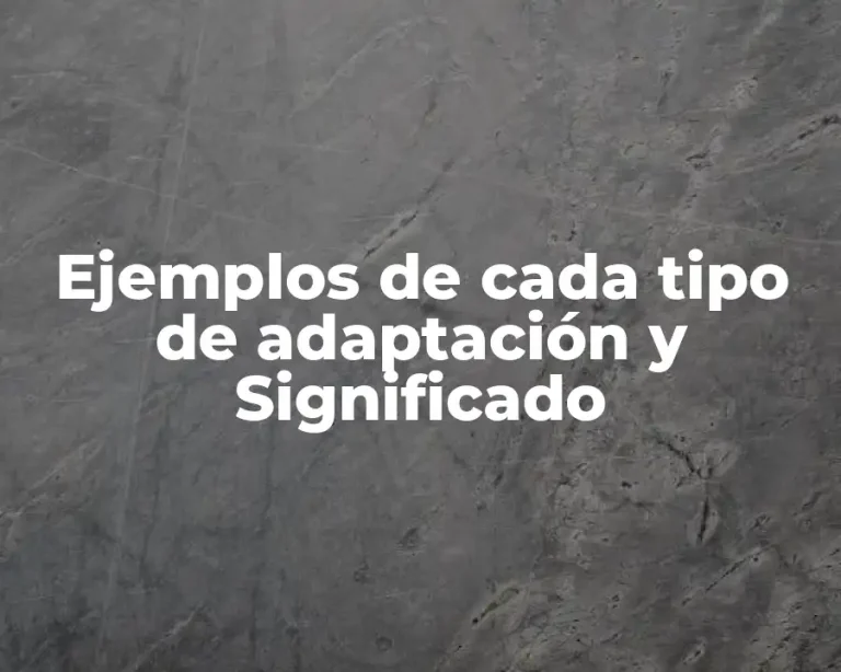 Ejemplos de cada tipo de adaptación y Significado
