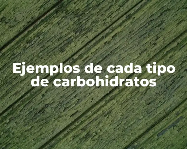 Ejemplos de cada tipo de carbohidratos