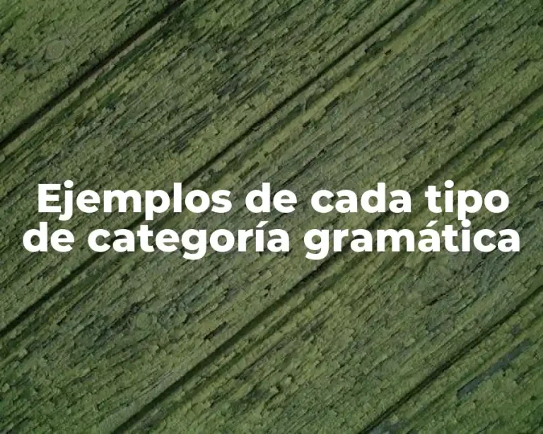 Ejemplos de cada tipo de categoría gramática