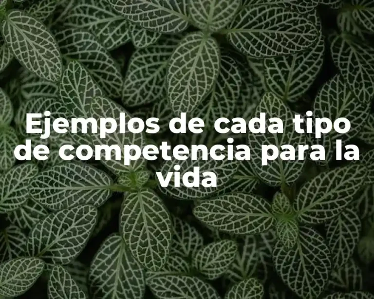 Ejemplos de cada tipo de competencia para la vida