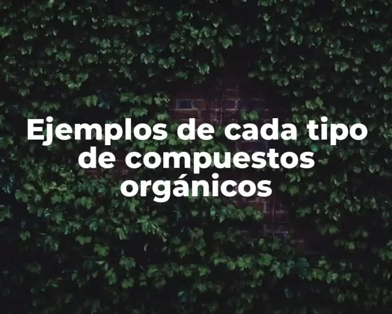 Ejemplos de cada tipo de compuestos orgánicos