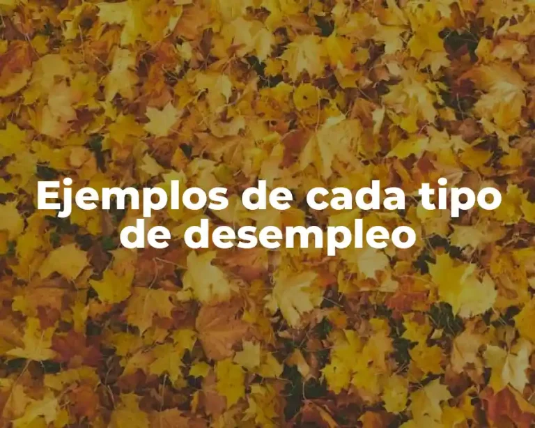 Ejemplos de cada tipo de desempleo